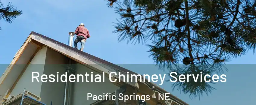 Residential Chimney Services Pacific Springs - NE