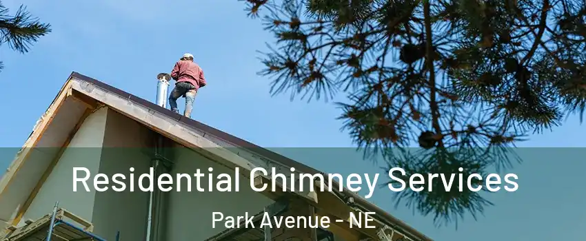 Residential Chimney Services Park Avenue - NE