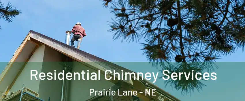 Residential Chimney Services Prairie Lane - NE