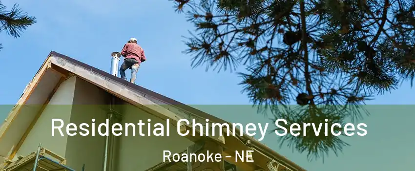 Residential Chimney Services Roanoke - NE