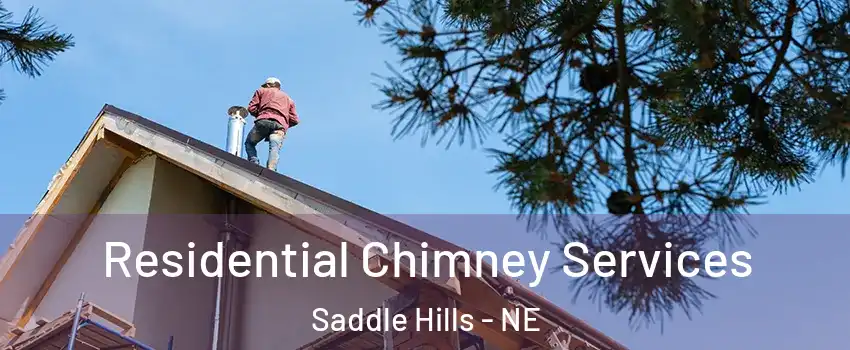 Residential Chimney Services Saddle Hills - NE