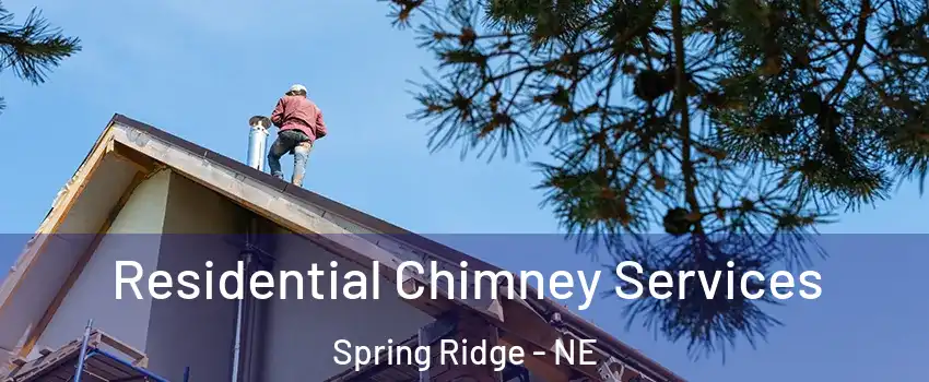 Residential Chimney Services Spring Ridge - NE