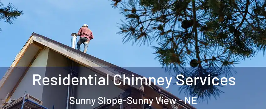 Residential Chimney Services Sunny Slope-Sunny View - NE