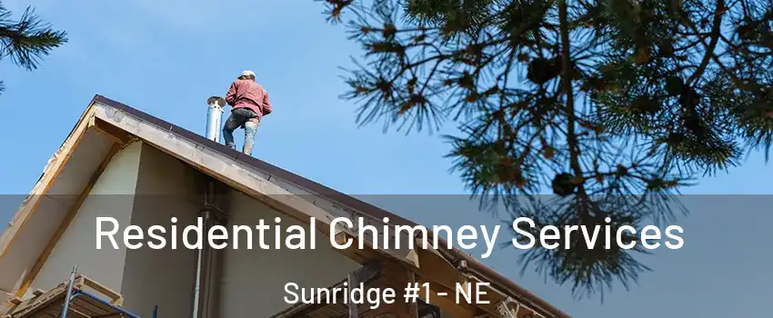 Residential Chimney Services Sunridge #1 - NE
