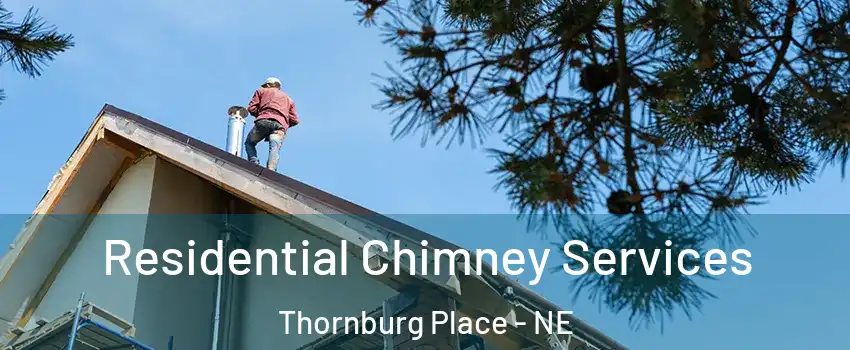 Residential Chimney Services Thornburg Place - NE