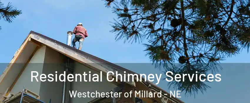 Residential Chimney Services Westchester of Millard - NE