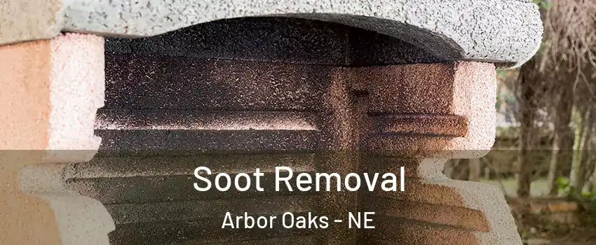 Soot Removal Arbor Oaks - NE