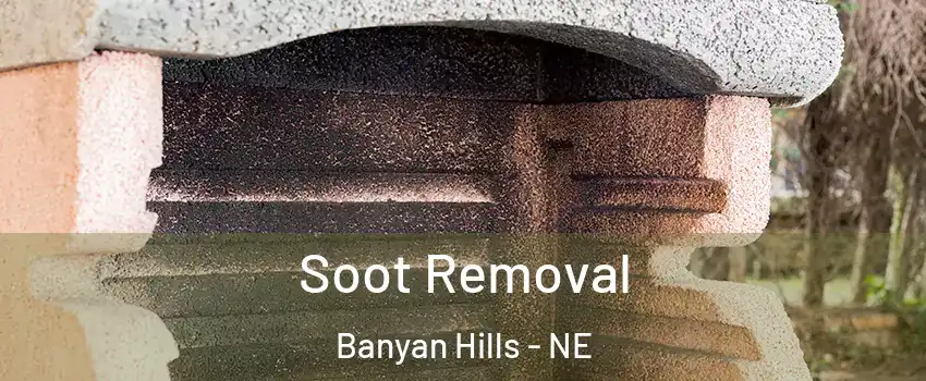 Soot Removal Banyan Hills - NE