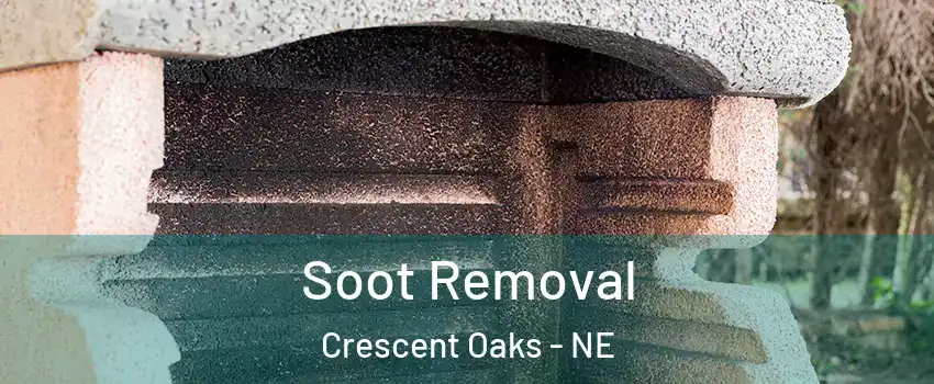 Soot Removal Crescent Oaks - NE