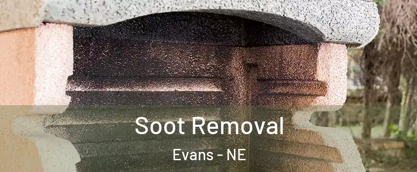 Soot Removal Evans - NE