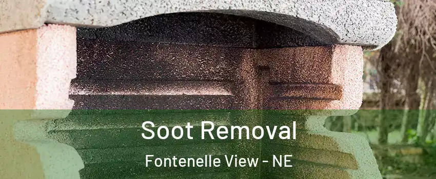 Soot Removal Fontenelle View - NE