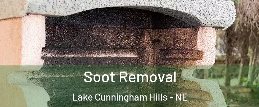 Soot Removal Lake Cunningham Hills - NE