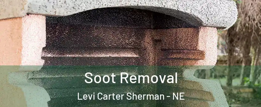 Soot Removal Levi Carter Sherman - NE