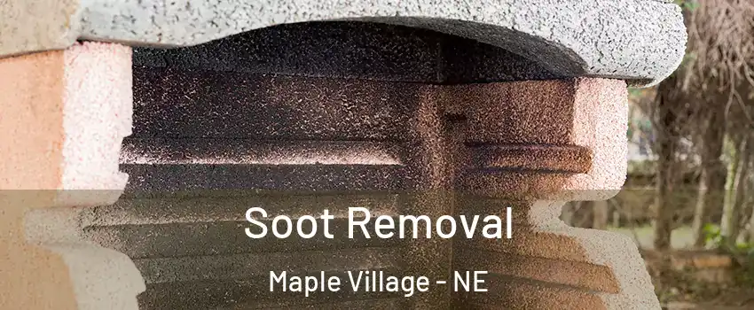 Soot Removal Maple Village - NE