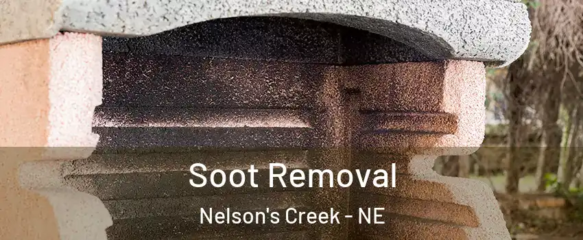 Soot Removal Nelson's Creek - NE