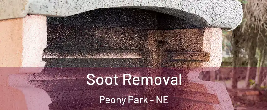 Soot Removal Peony Park - NE