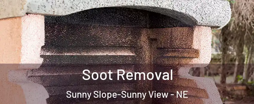 Soot Removal Sunny Slope-Sunny View - NE