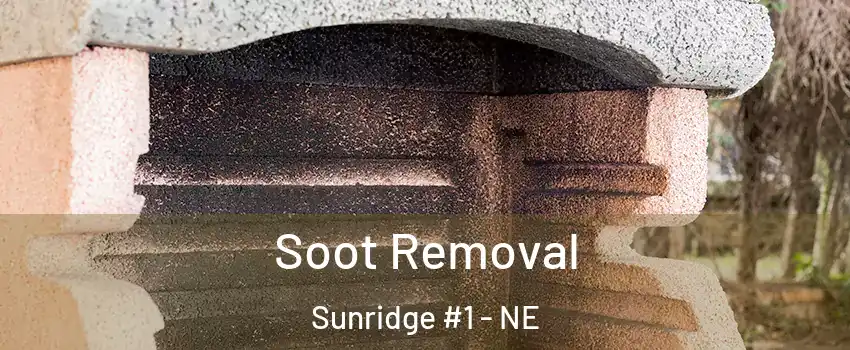 Soot Removal Sunridge #1 - NE