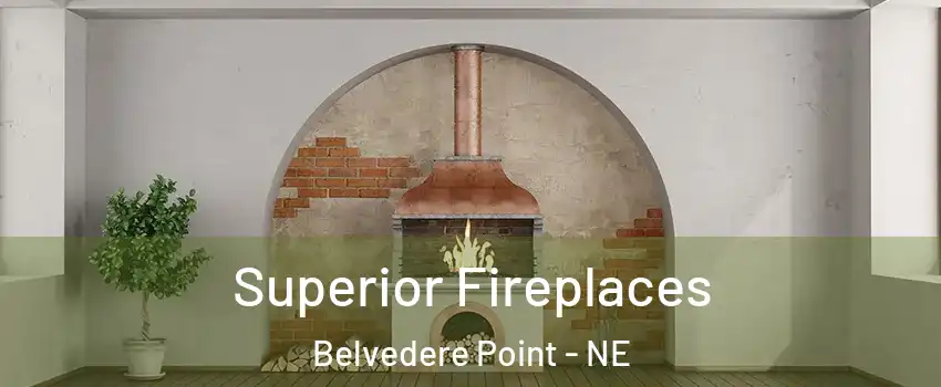 Superior Fireplaces Belvedere Point - NE