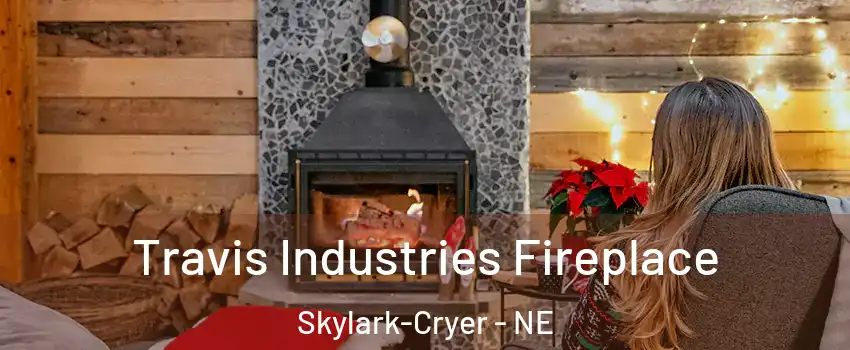 Travis Industries Fireplace Skylark-Cryer - NE