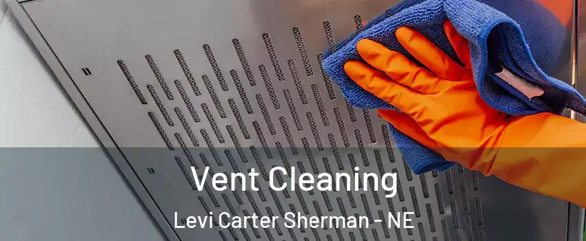 Vent Cleaning Levi Carter Sherman - NE