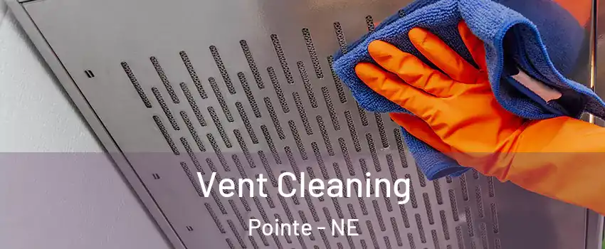 Vent Cleaning Pointe - NE