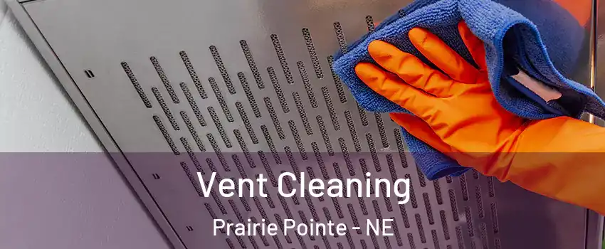 Vent Cleaning Prairie Pointe - NE