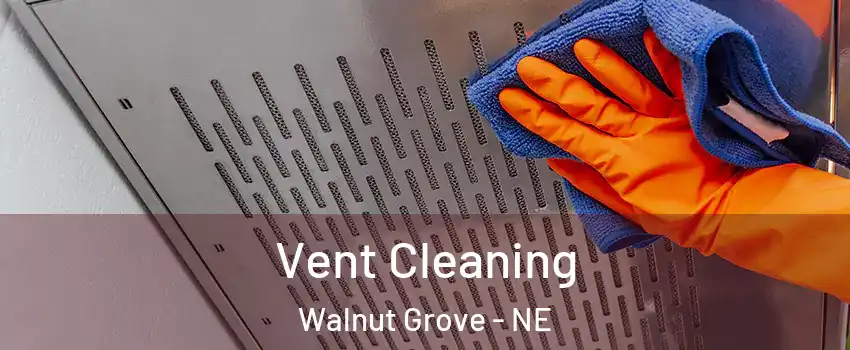 Vent Cleaning Walnut Grove - NE