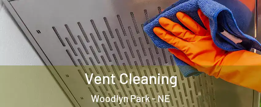 Vent Cleaning Woodlyn Park - NE