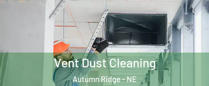 Vent Dust Cleaning Autumn Ridge - NE