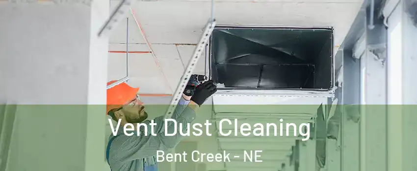 Vent Dust Cleaning Bent Creek - NE