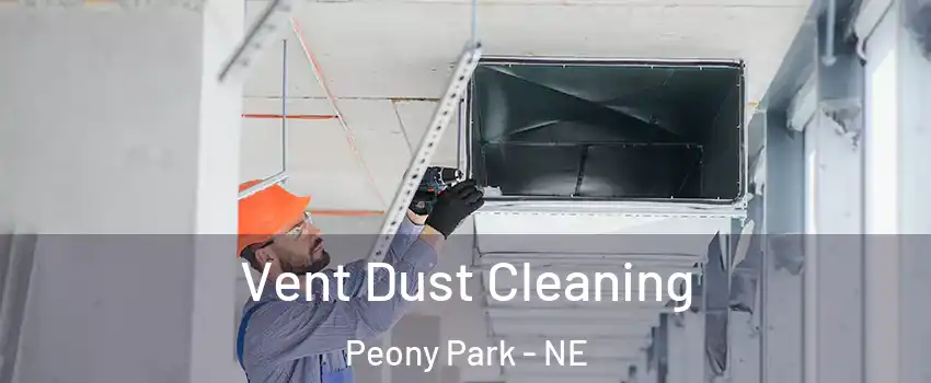 Vent Dust Cleaning Peony Park - NE