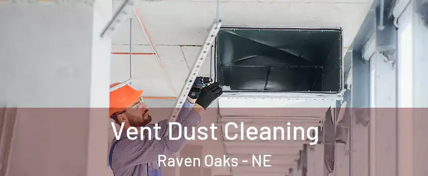 Vent Dust Cleaning Raven Oaks - NE
