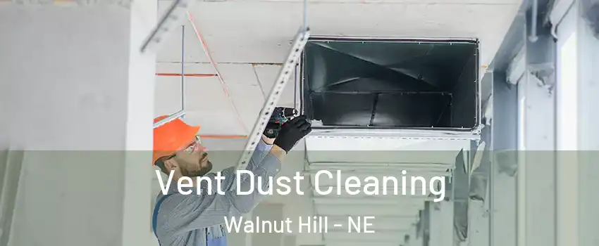 Vent Dust Cleaning Walnut Hill - NE