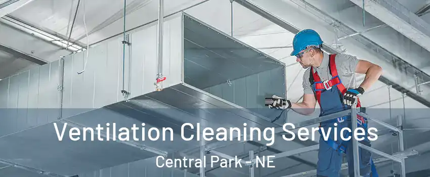 Ventilation Cleaning Services Central Park - NE