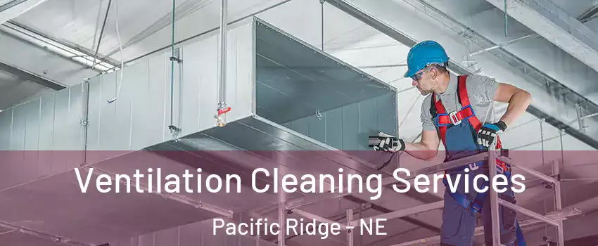 Ventilation Cleaning Services Pacific Ridge - NE
