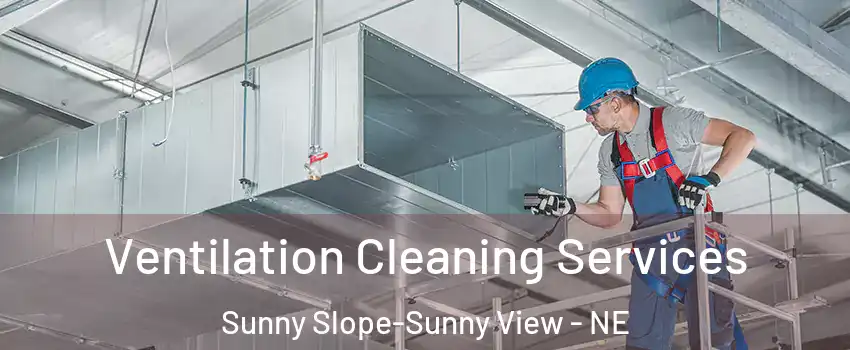 Ventilation Cleaning Services Sunny Slope-Sunny View - NE
