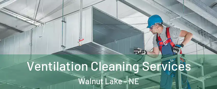 Ventilation Cleaning Services Walnut Lake - NE