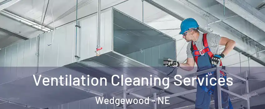 Ventilation Cleaning Services Wedgewood - NE