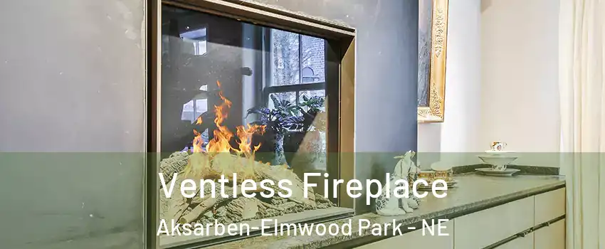 Ventless Fireplace Aksarben-Elmwood Park - NE