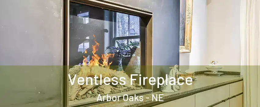 Ventless Fireplace Arbor Oaks - NE