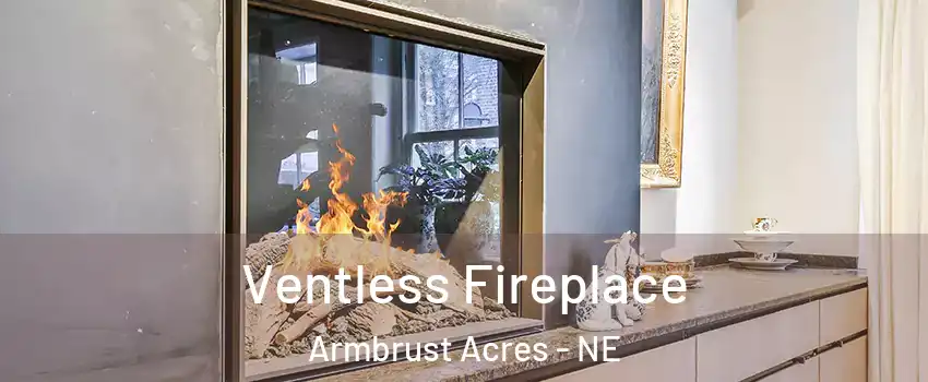 Ventless Fireplace Armbrust Acres - NE