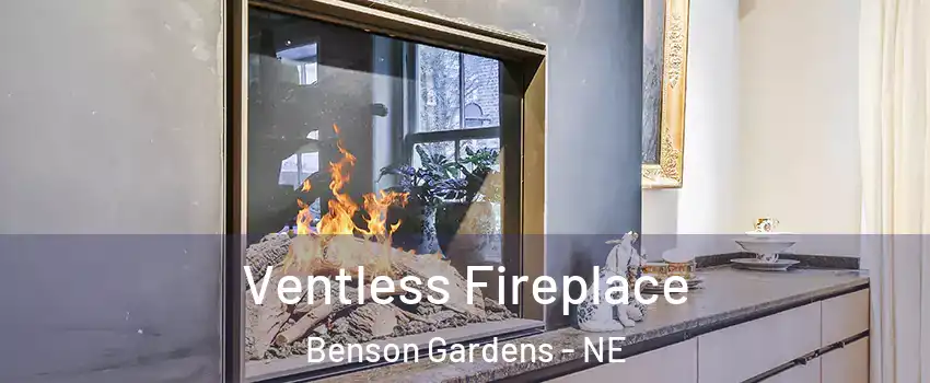 Ventless Fireplace Benson Gardens - NE