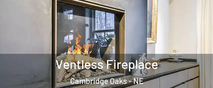 Ventless Fireplace Cambridge Oaks - NE