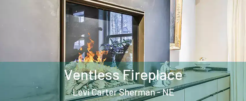 Ventless Fireplace Levi Carter Sherman - NE
