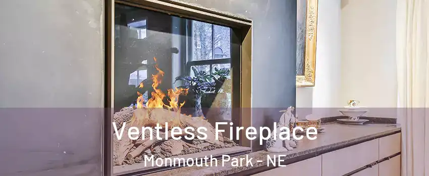 Ventless Fireplace Monmouth Park - NE