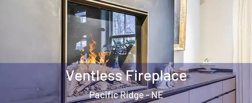 Ventless Fireplace Pacific Ridge - NE