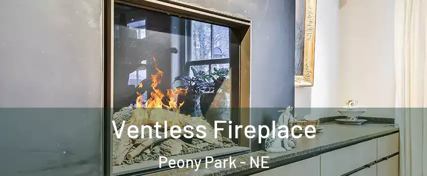 Ventless Fireplace Peony Park - NE