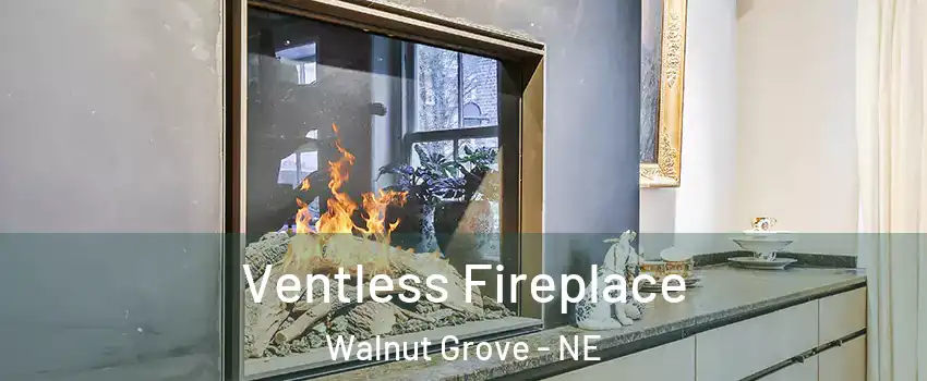 Ventless Fireplace Walnut Grove - NE