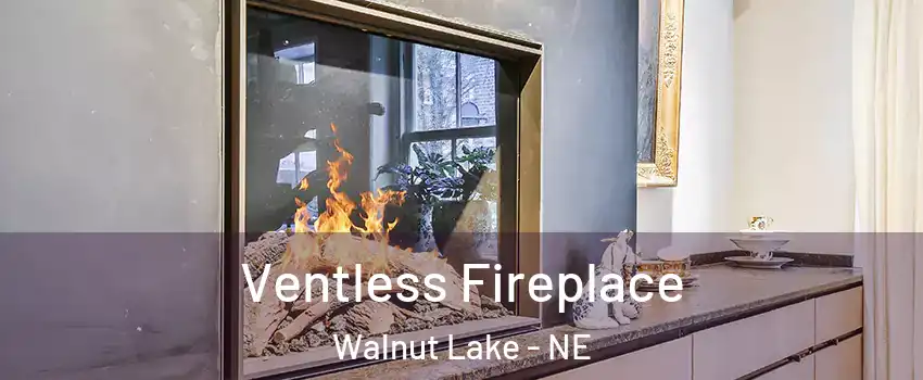 Ventless Fireplace Walnut Lake - NE
